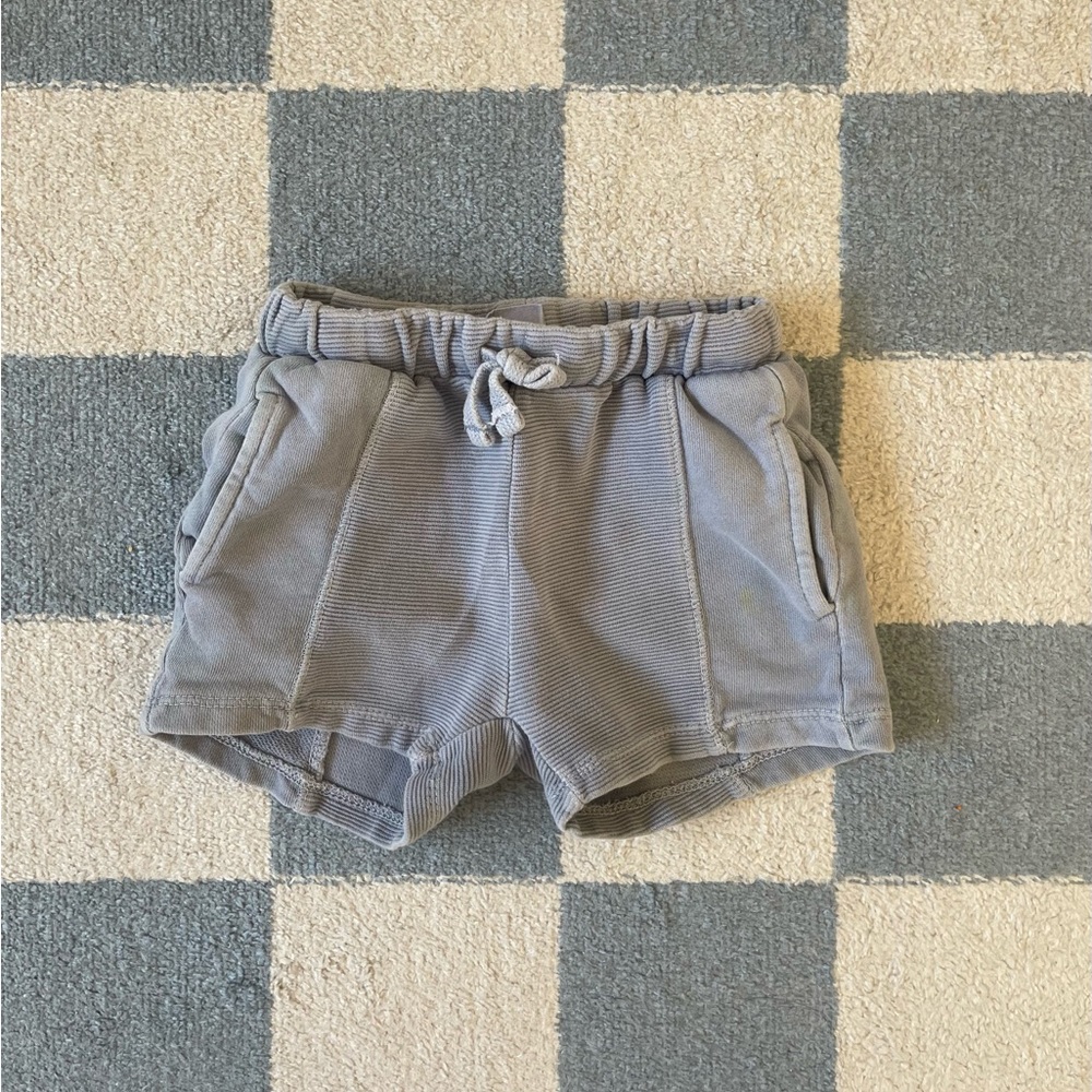 Zara Shorts